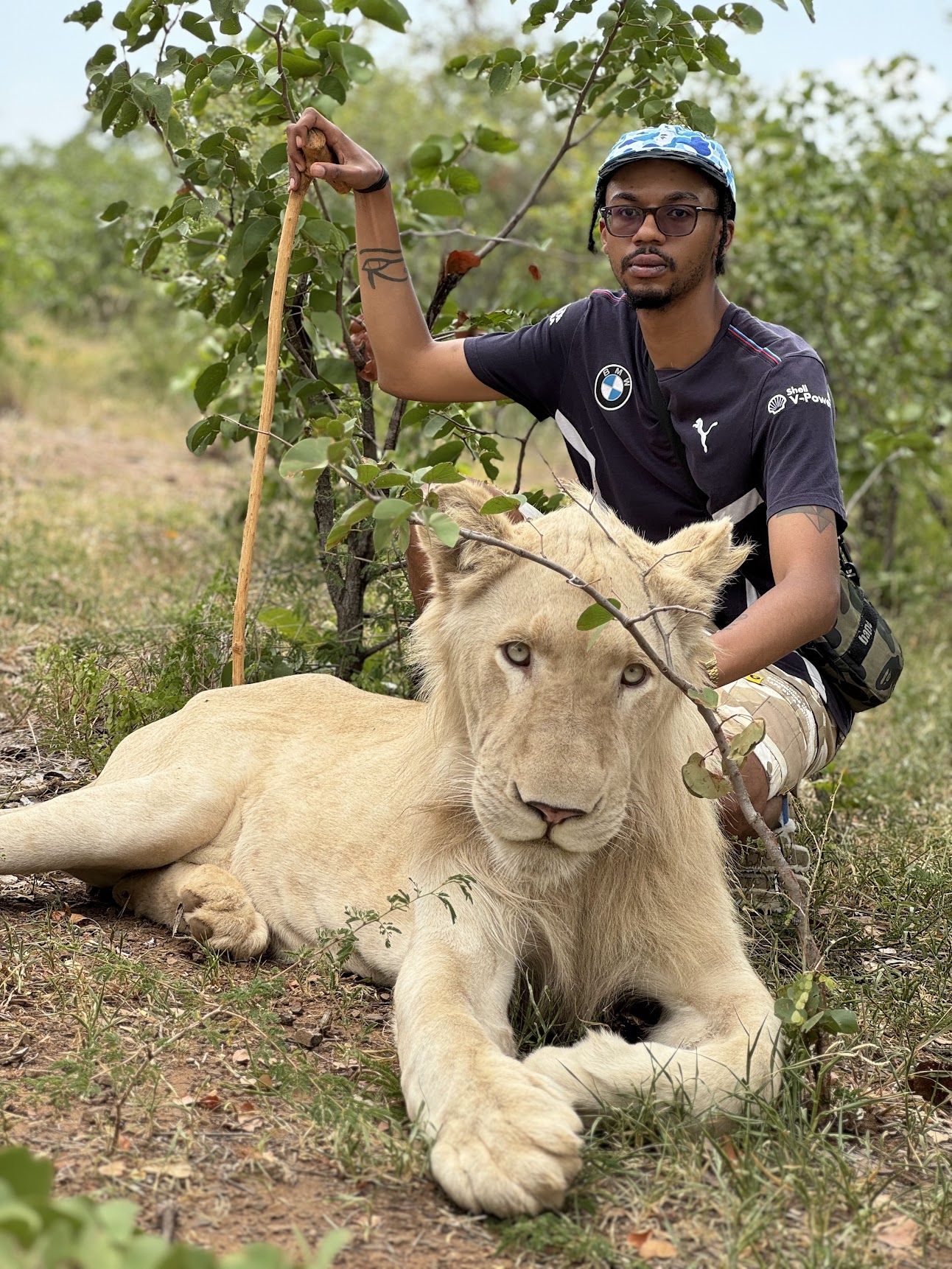 DESTRO with white lion