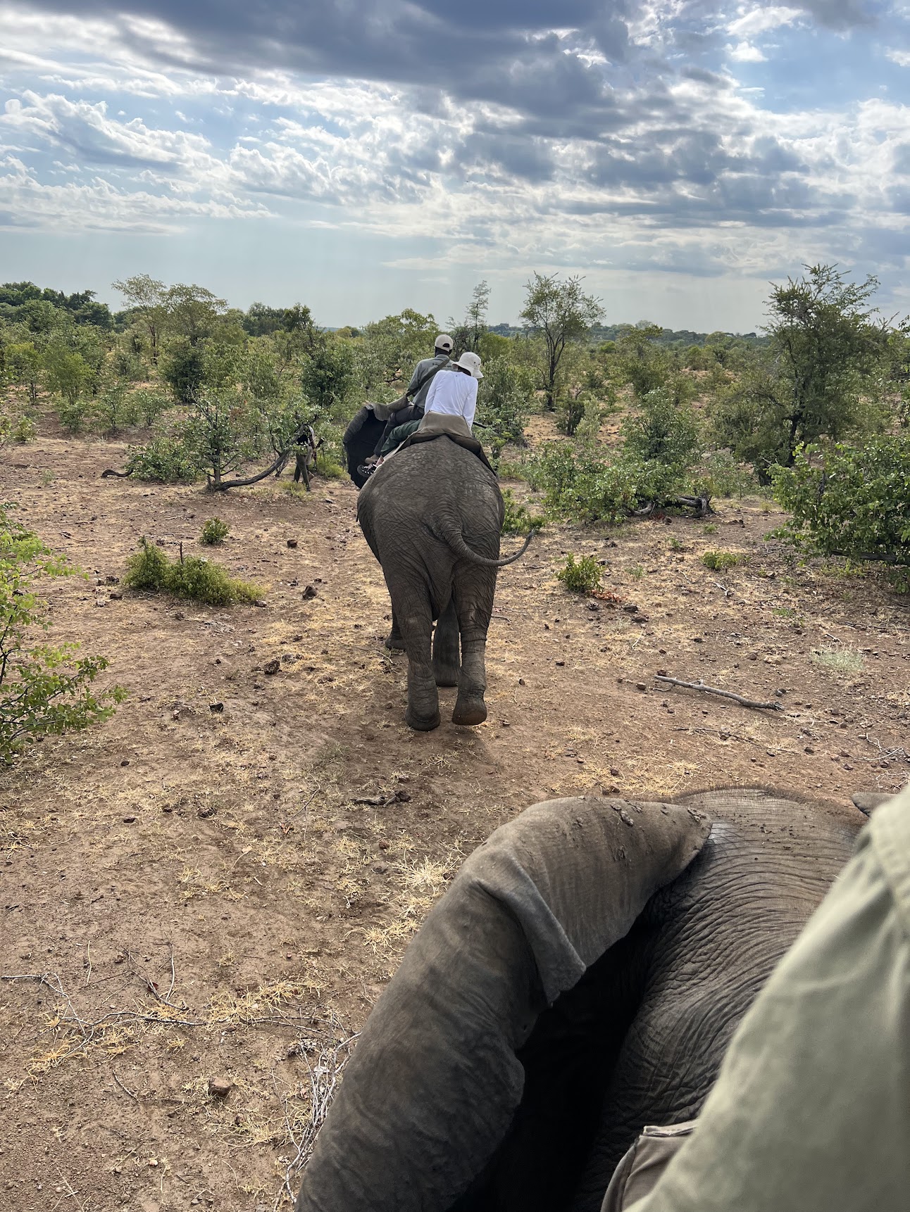 Game drive vehicle at sunrise